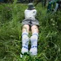 Шкарпетки BORN білі